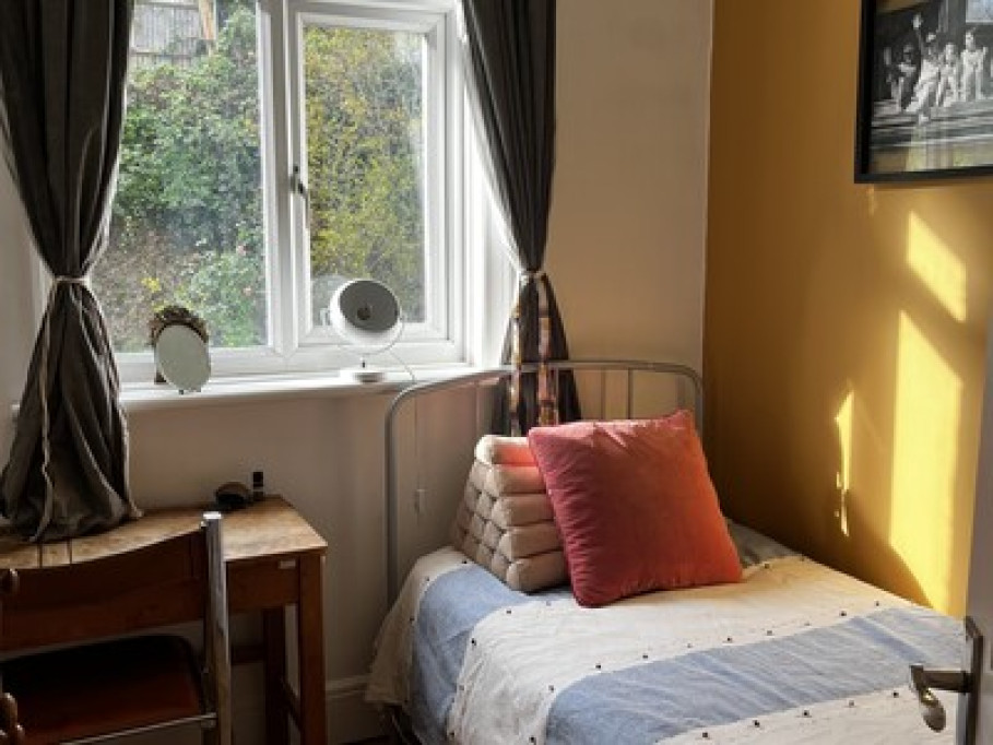 Modern Room with garden view 
