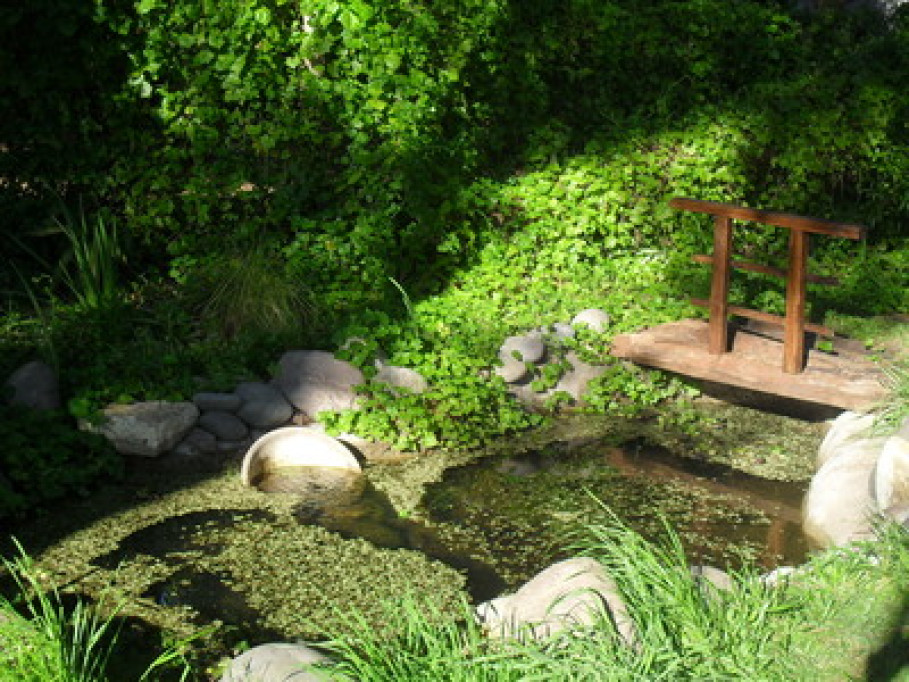 love of nature!