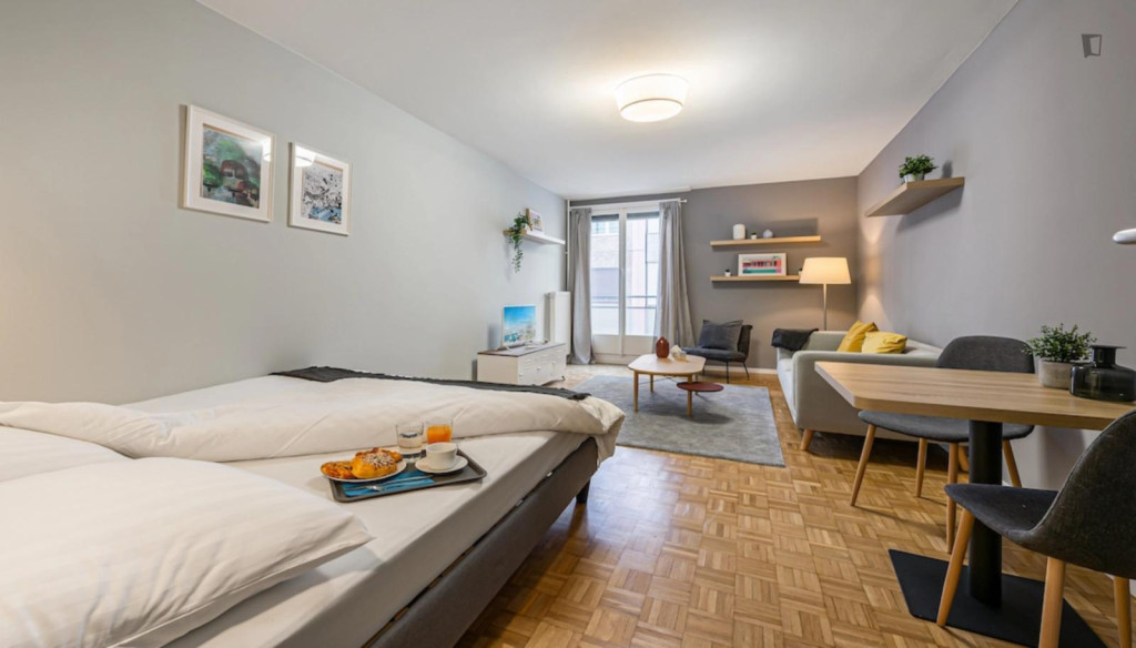 Wonderful studio near Parc Mon Repos