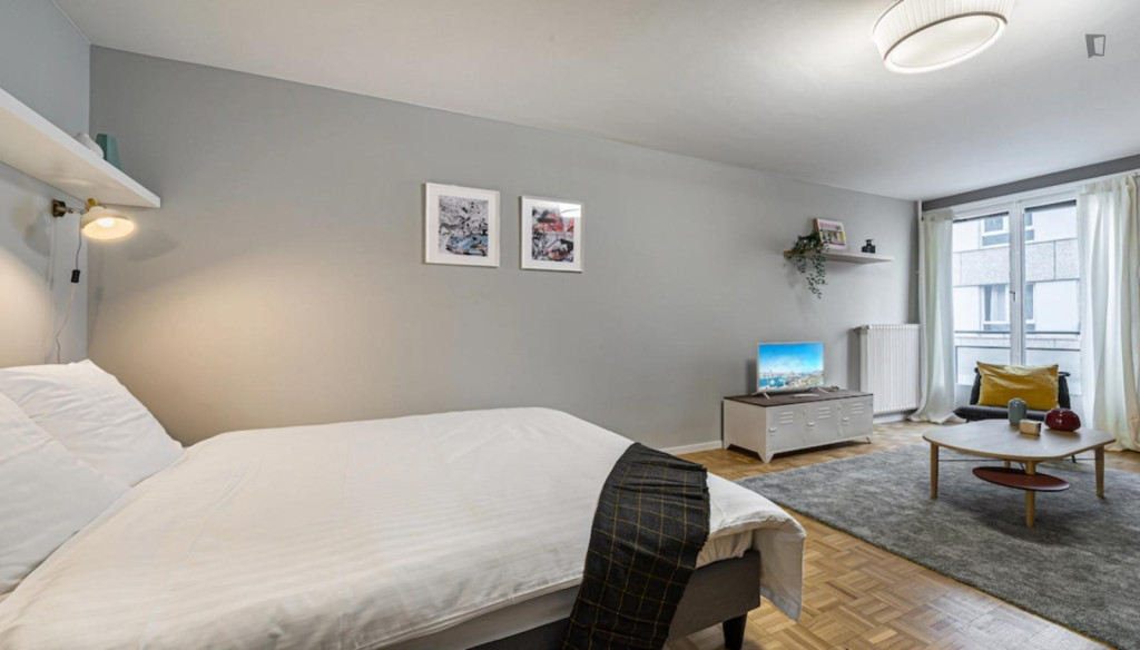 Splendid studio near Parc Mon Repos
