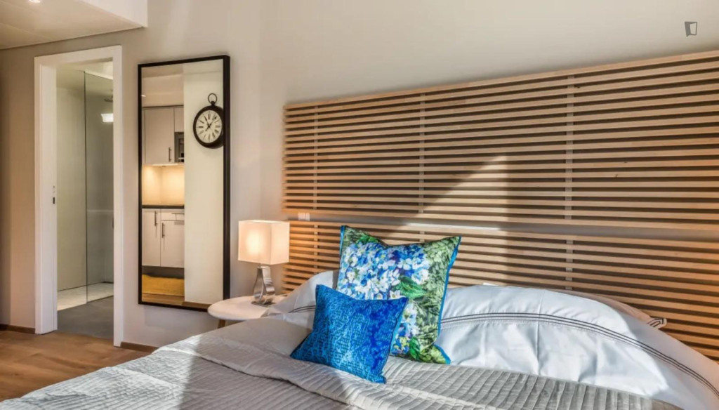 Very comfy studio near the Lancy-Pont-Rouge train station