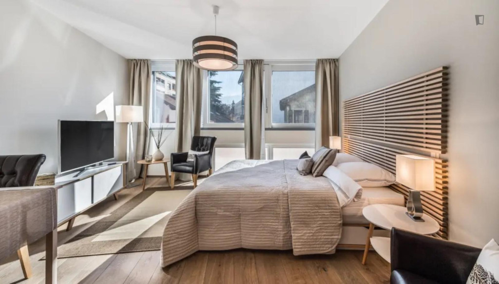 Tasteful and bright studio in Carouge