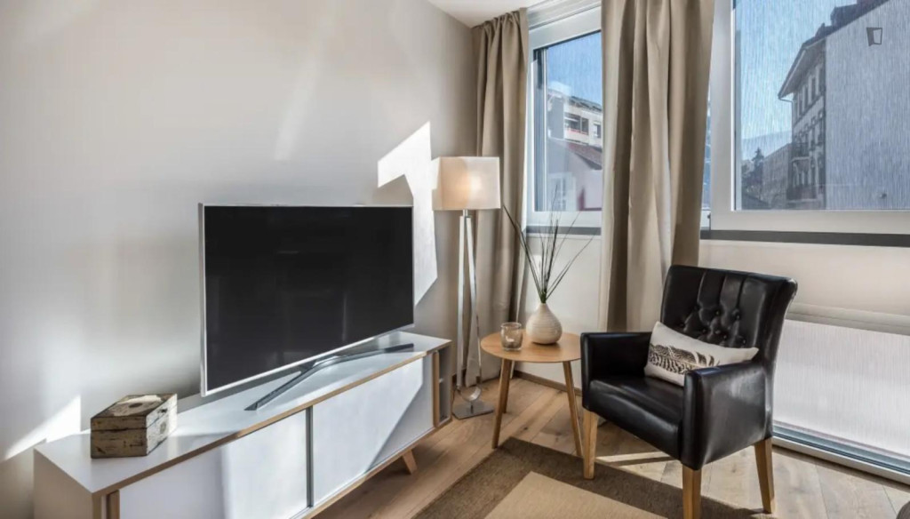 Tasteful and bright studio in Carouge