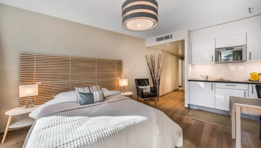 Tasteful and bright studio in Carouge