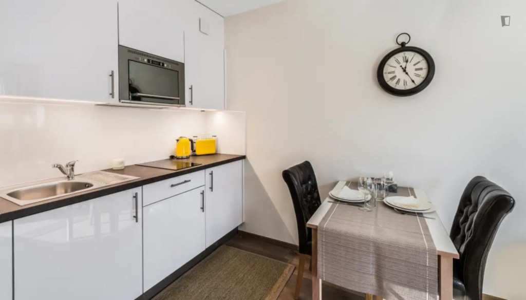 Tasteful and bright studio in Carouge