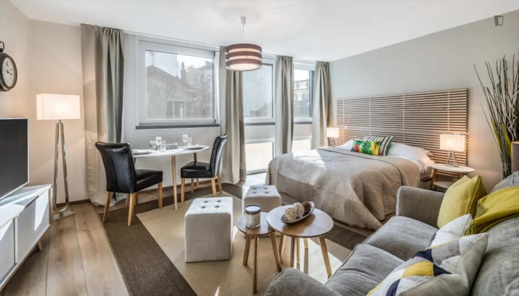 Very big studio near the Lancy-Pont-Rouge train station