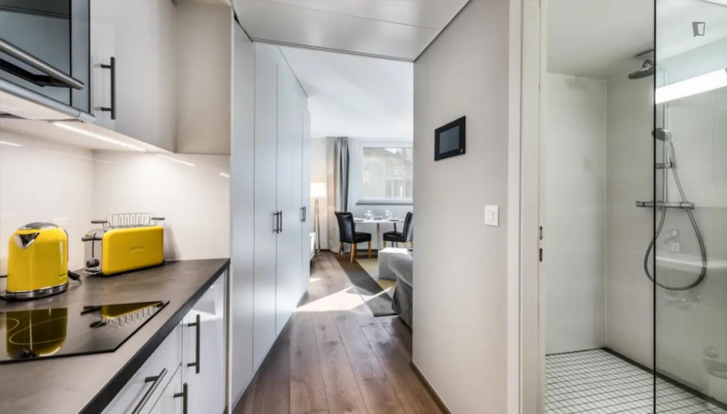 Very big studio near the Lancy-Pont-Rouge train station