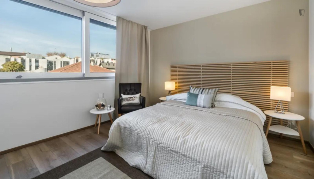 Attractive studio in the Carouge district