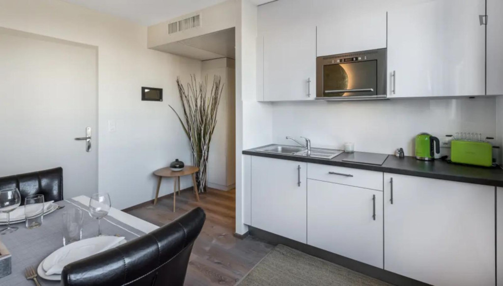 Attractive studio in the Carouge district