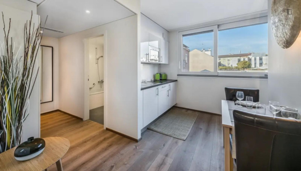 Attractive studio in the Carouge district