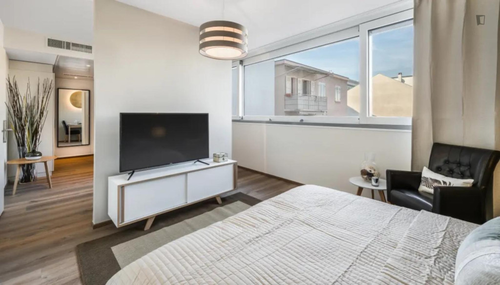 Attractive studio in the Carouge district