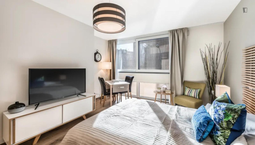 Brilliant studio in the Carouge neighbourhood