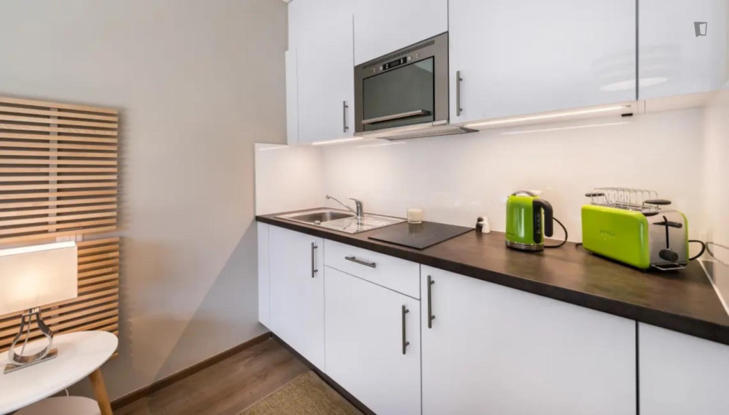 Brilliant studio in the Carouge neighbourhood