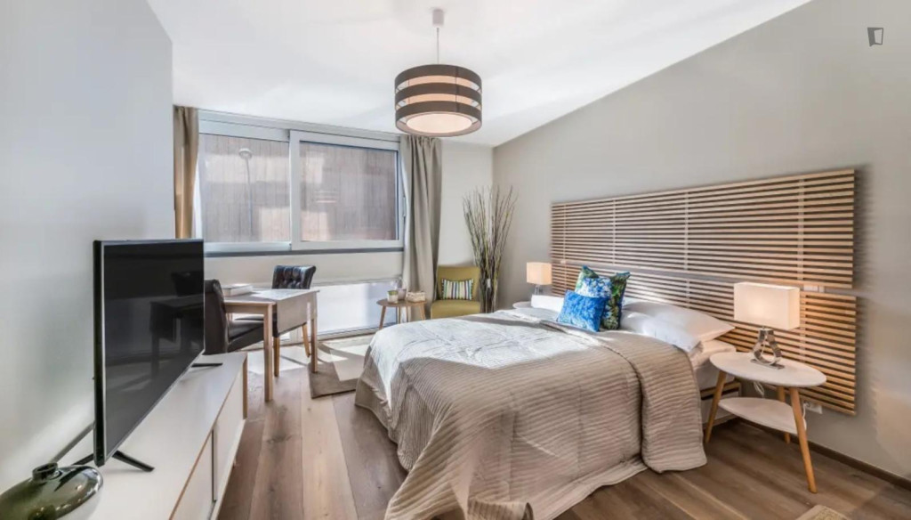Brilliant studio in the Carouge neighbourhood