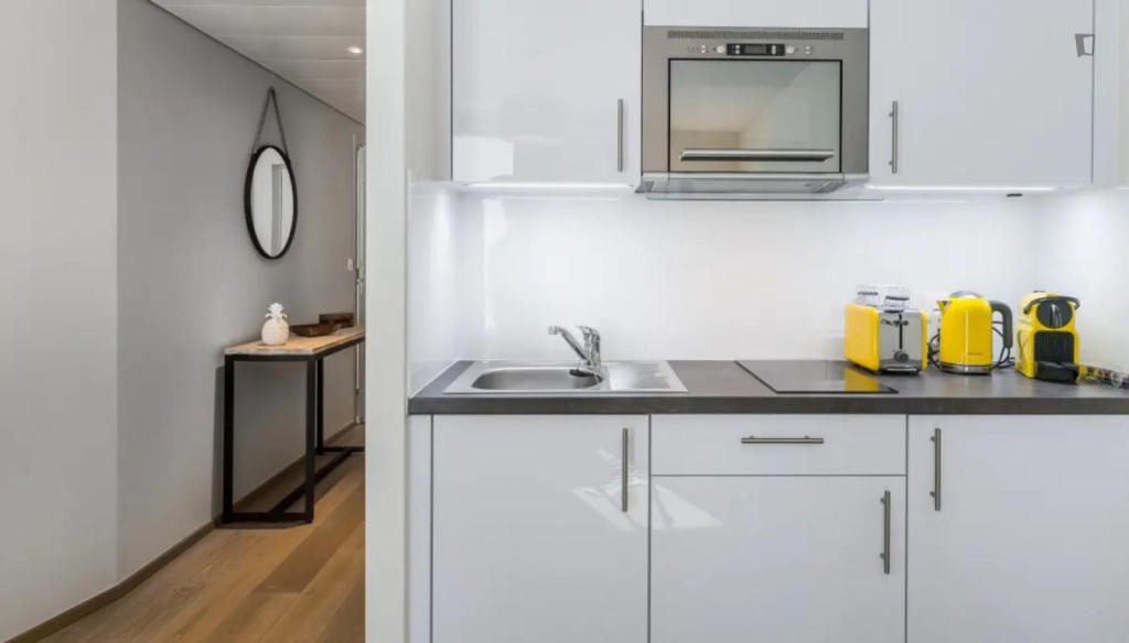 Sublime studio in the Carouge district