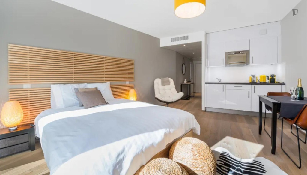 Sublime studio in the Carouge district