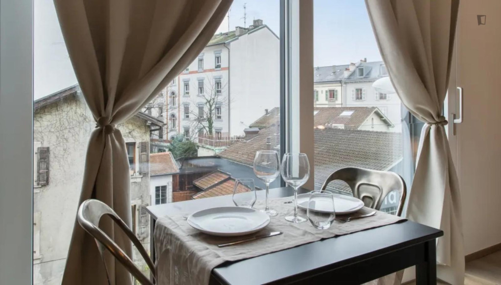 Luminous and modern studio in Carouge