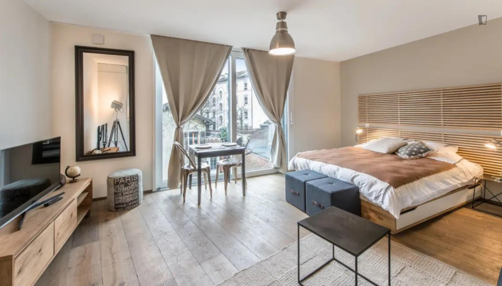 Luminous and modern studio in Carouge