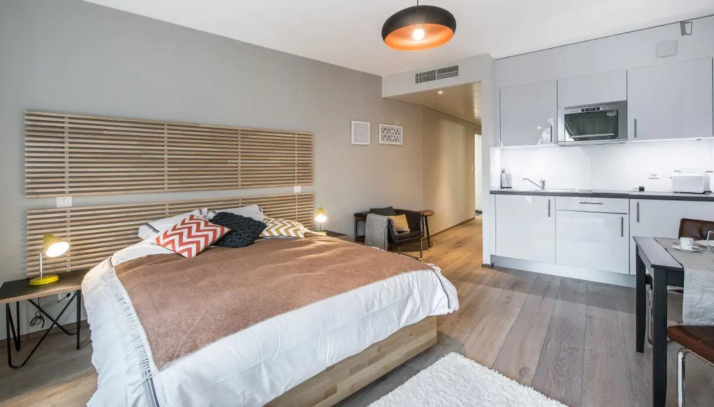 Spacious studio in the Carouge district