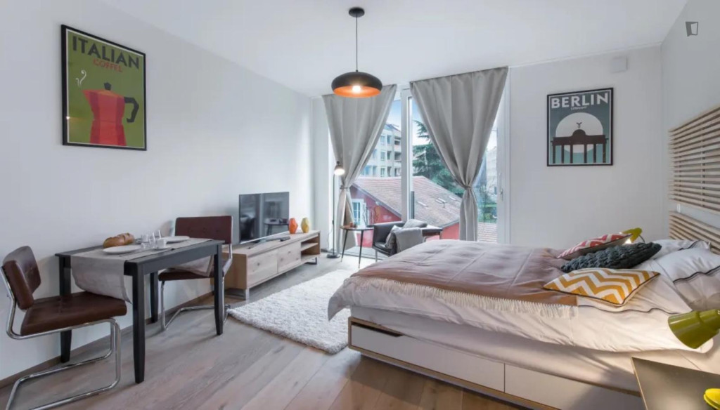 Spacious studio in the Carouge district