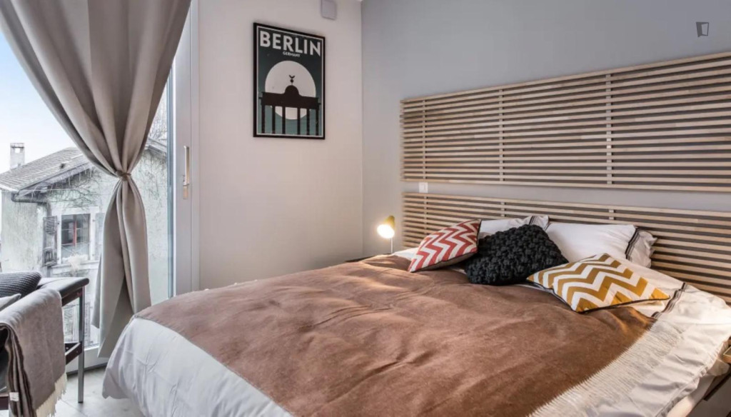 Spacious studio in the Carouge district