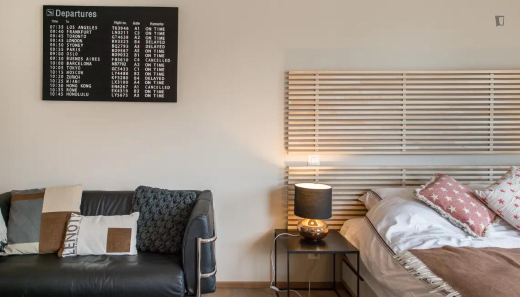 Beautiful studio in the Carouge district