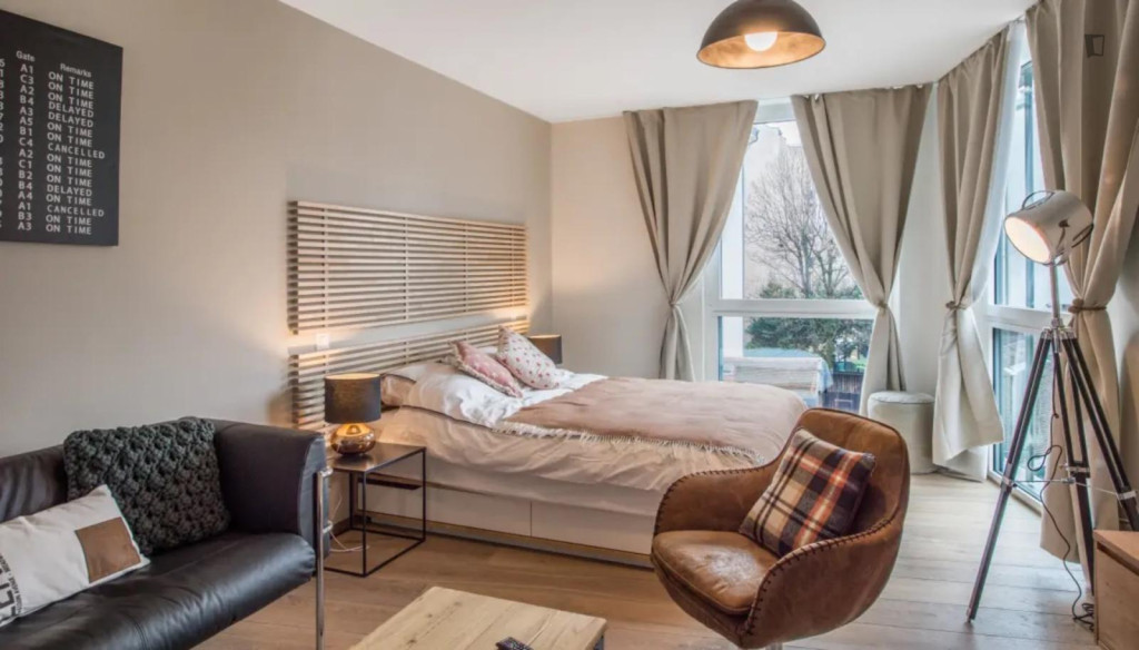 Beautiful studio in the Carouge district