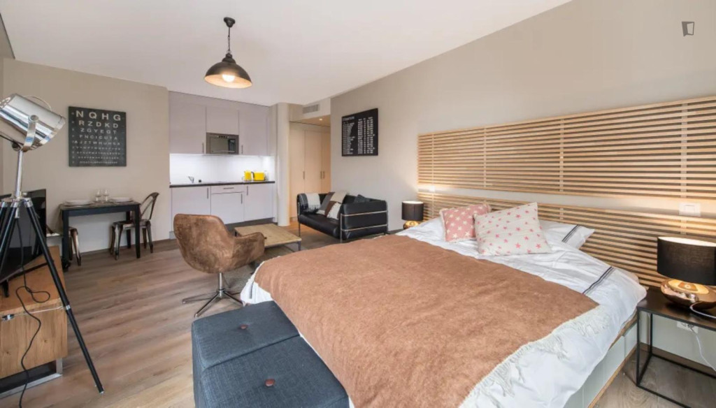 Beautiful studio in the Carouge district