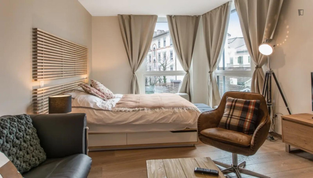 Beautiful studio in the Carouge district