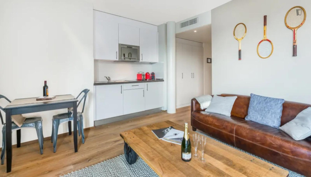 Stupendous studio in Carouge