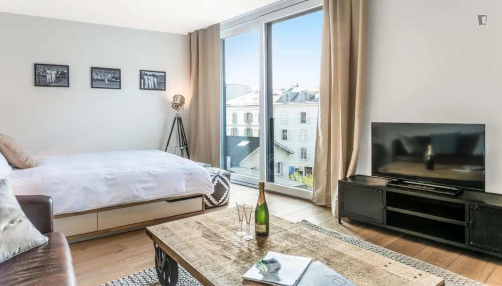 Stupendous studio in Carouge