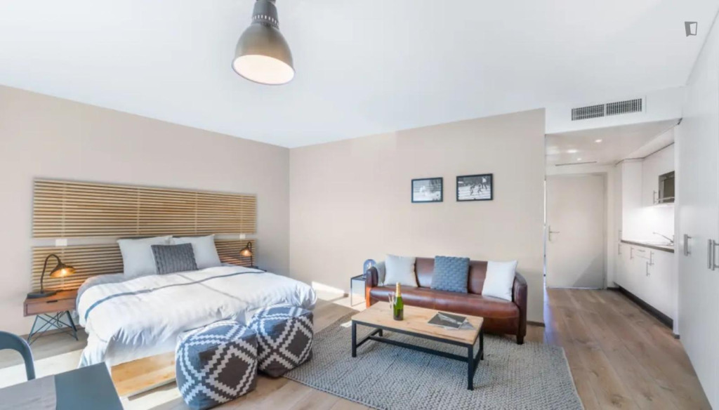 Wonderful studio in Carouge