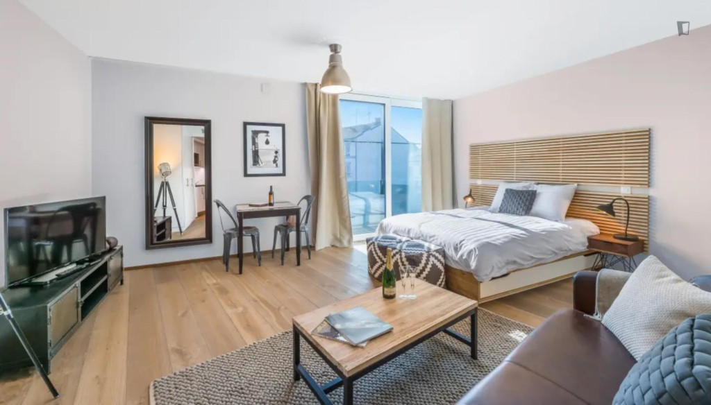 Wonderful studio in Carouge