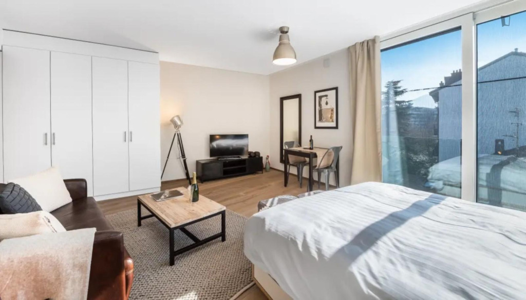 Wonderful studio in Carouge
