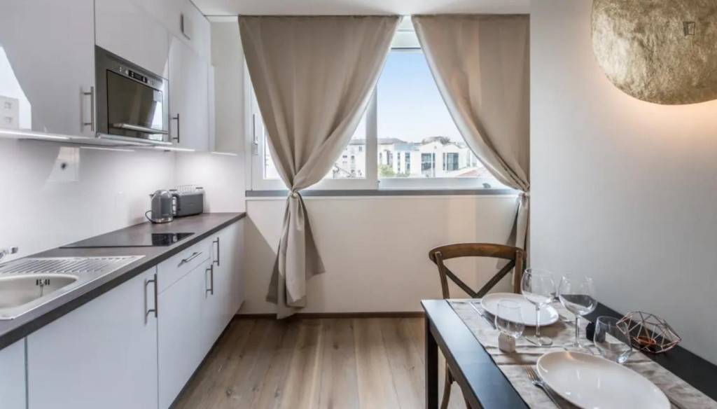Attractive studio in Carouge