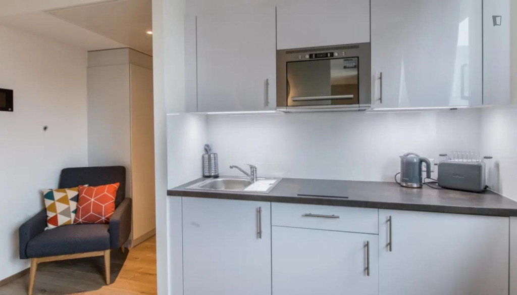 Attractive studio in Carouge