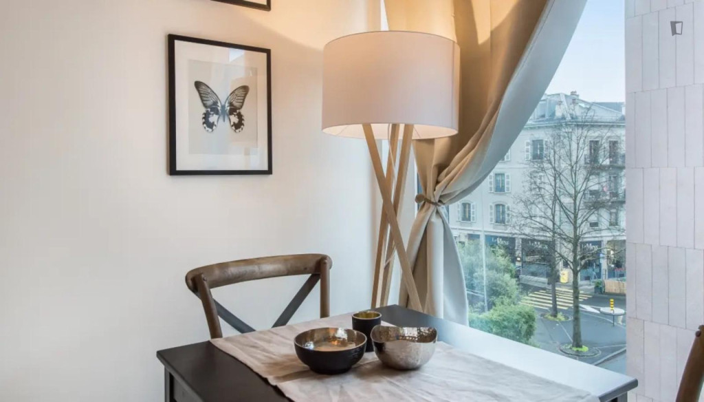Wonderful studio in the Carouge district