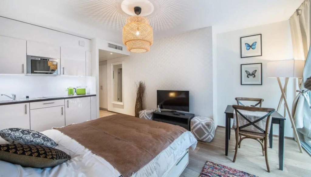 Wonderful studio in the Carouge district