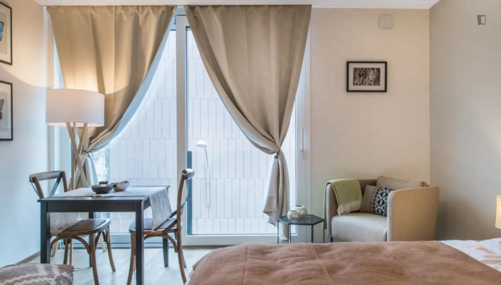 Wonderful studio in the Carouge district