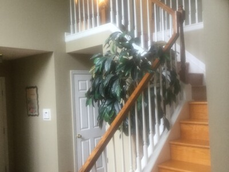 Great Expectations Homestay