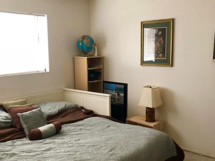 perfect student housing 