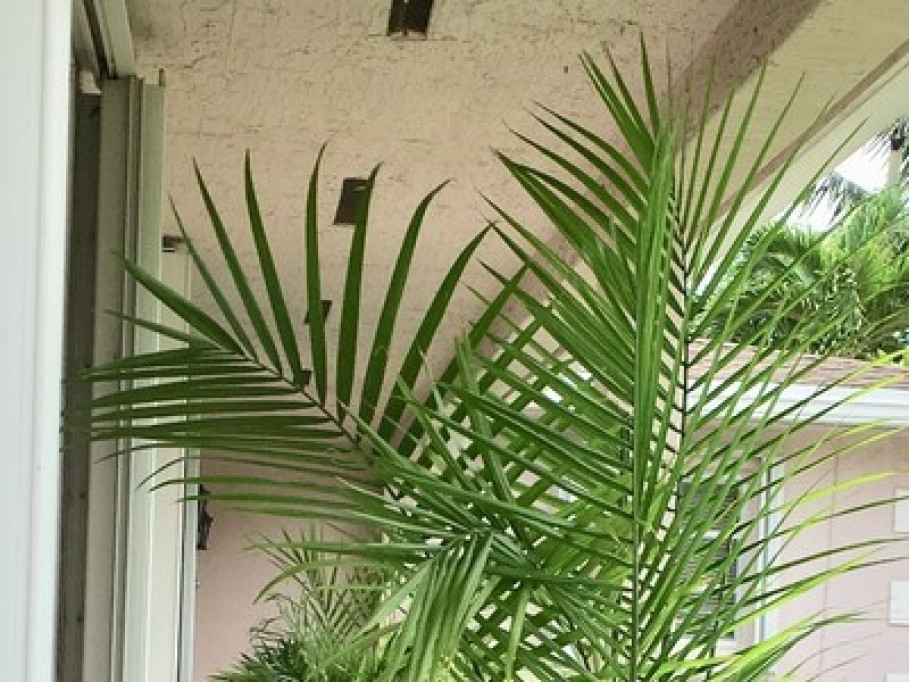 Sweet Homestay room!