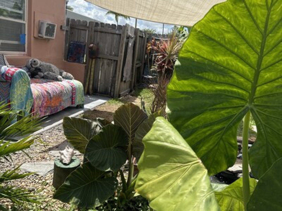 Cozy/Artsy Priv Room 1 M from beach