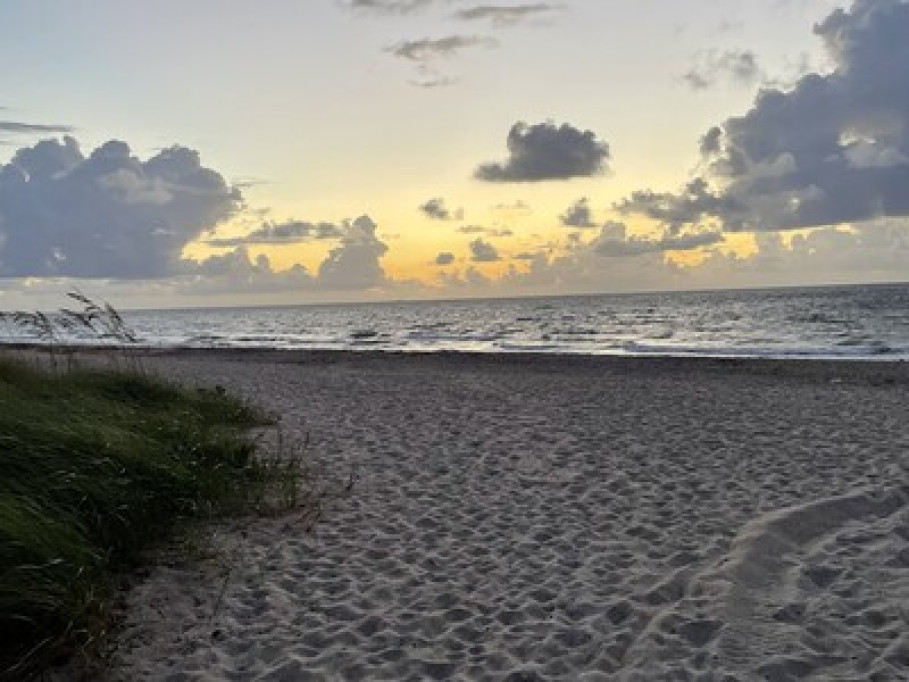 Wilton Manors Area min to Beaches