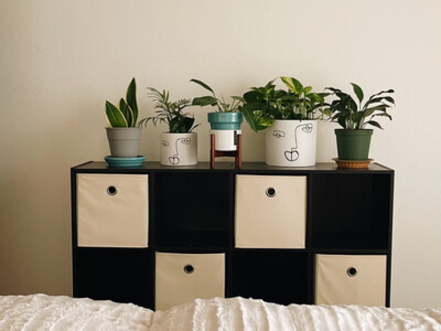 Cozy Queen Bed, Amenities + Parking
