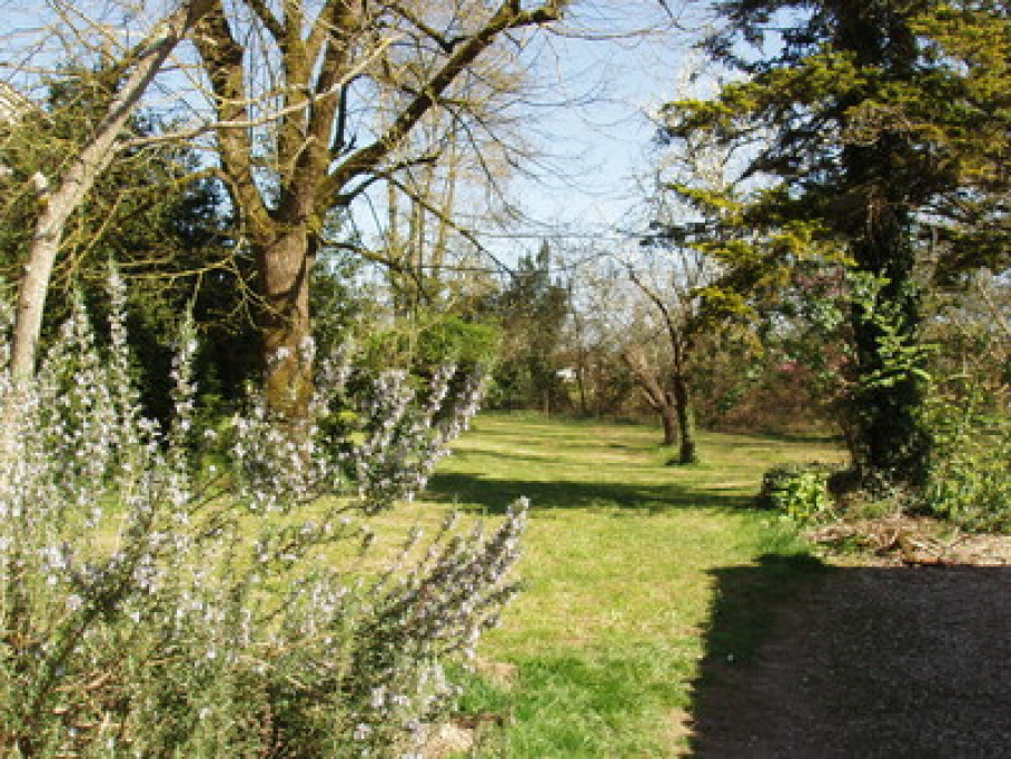 Chateau de reves