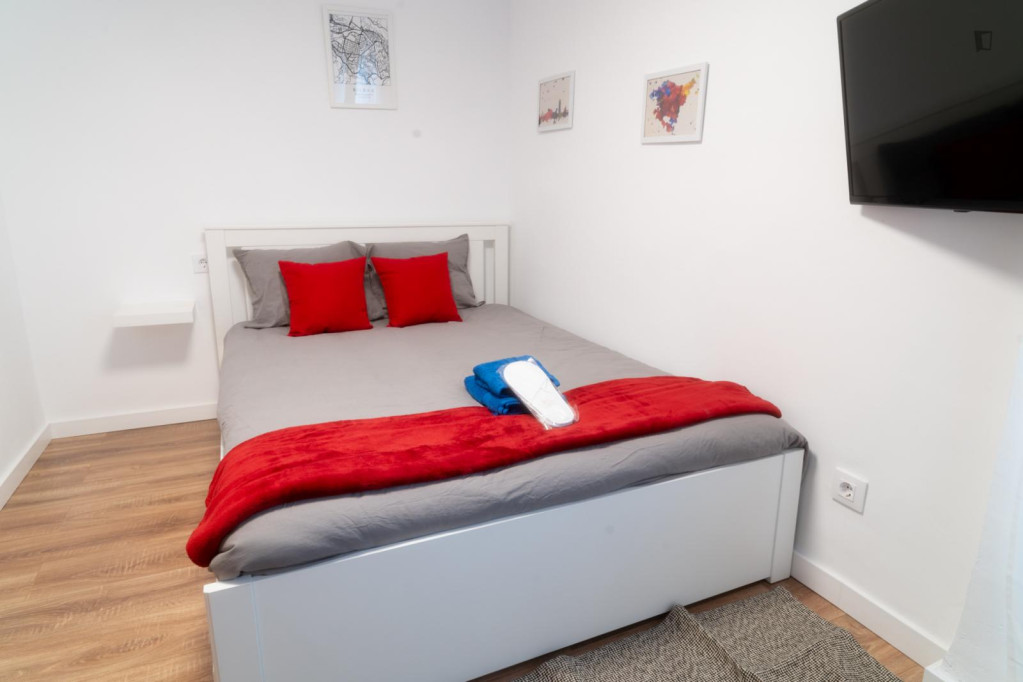 Double bedroom in 4-bedroom apartment - Valence - chambre - ImmoJeune