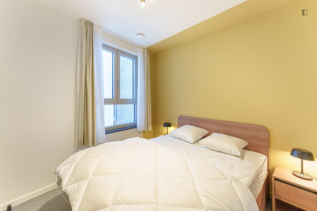 Lovely 1 bedroom apartment near Antwerp central station