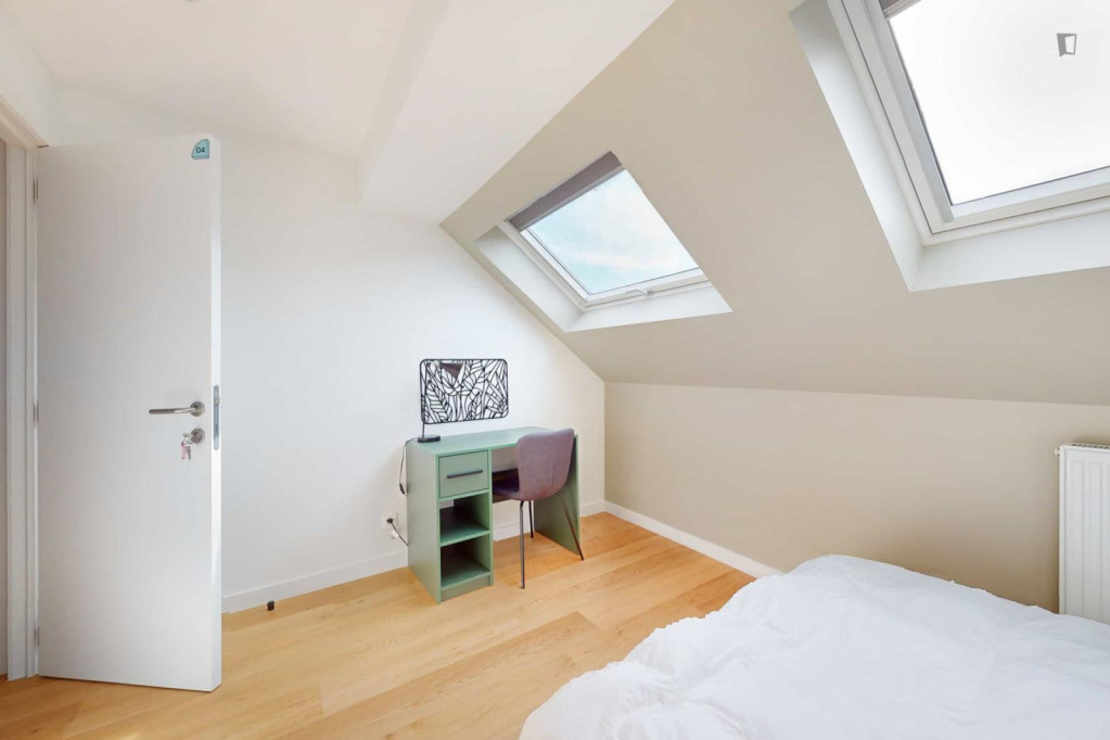 Alluring double bedroom in Schaerbeek