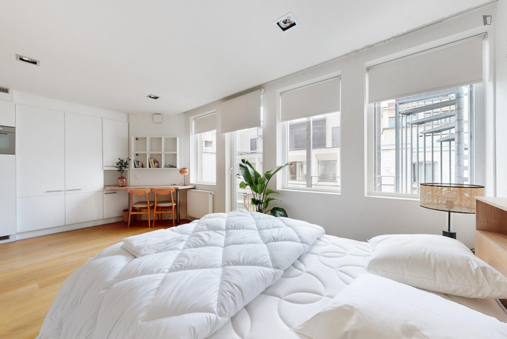 Neat studio in the centre of Brussels